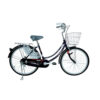 Xe đạp Sallway Bridgestone