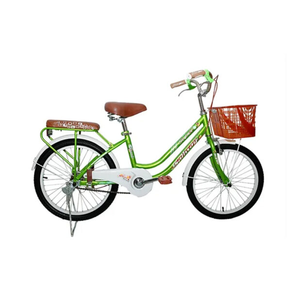 Xe đạp Sallway Mini Vuông 20